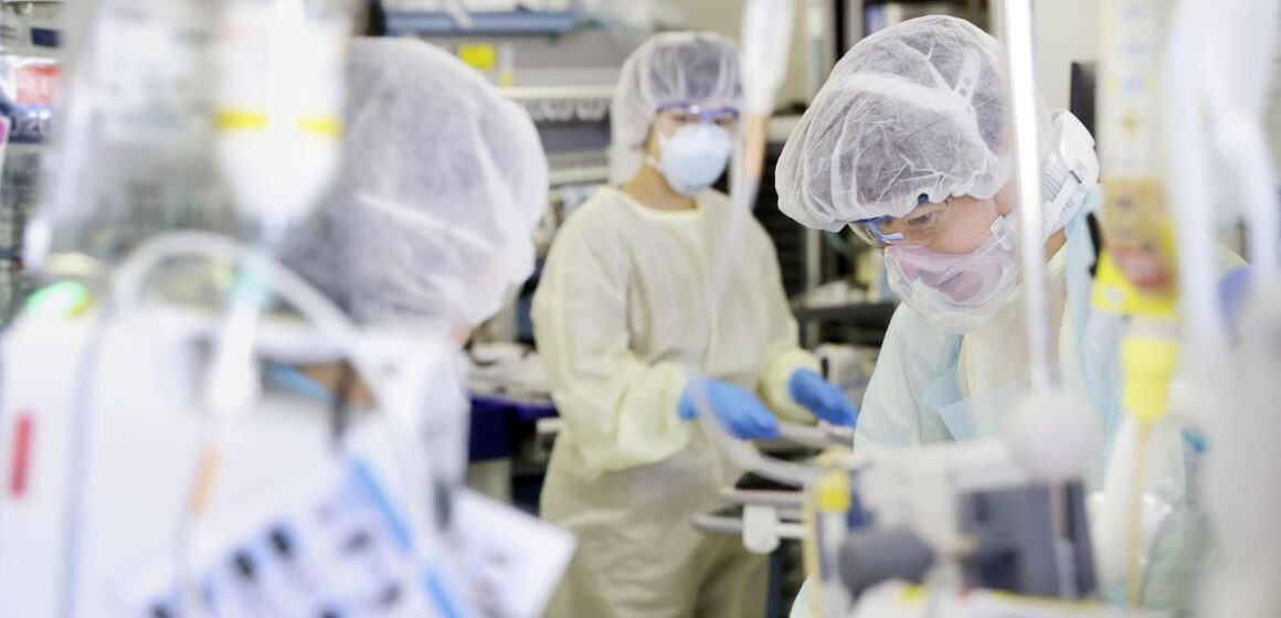 Covid-19 no Pará: outubro termina com registro de 82 mortes e 6,5 mil casos