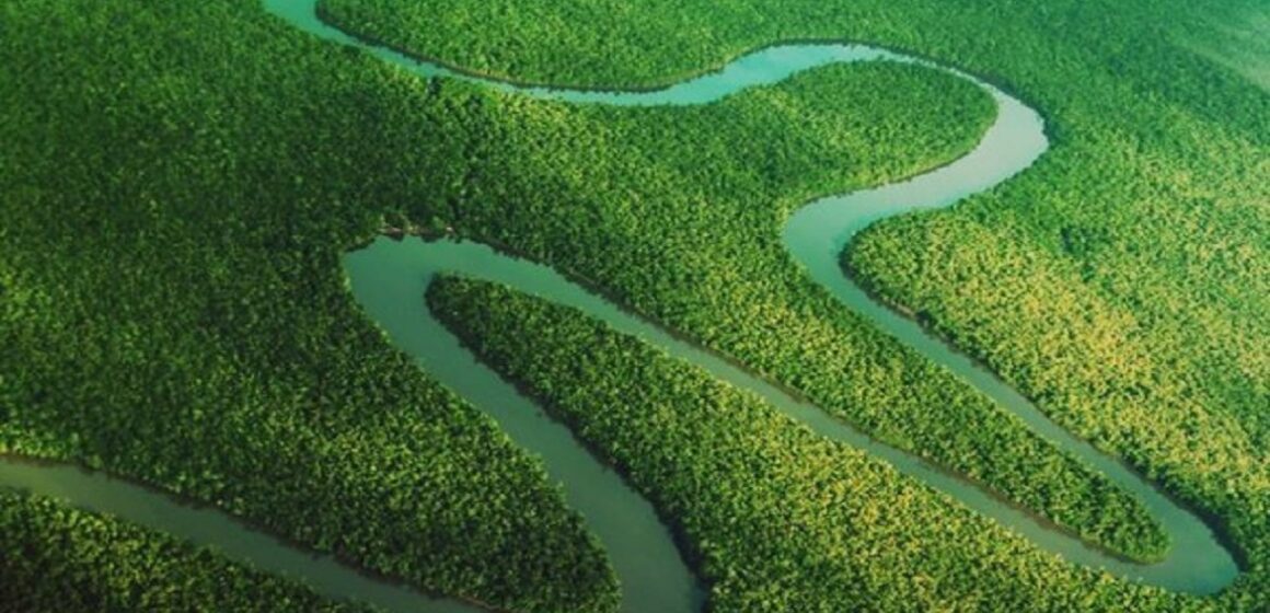 COP 26: Pará apresenta ‘SeloVerde’ para comunidade internacional como modelo de transparência