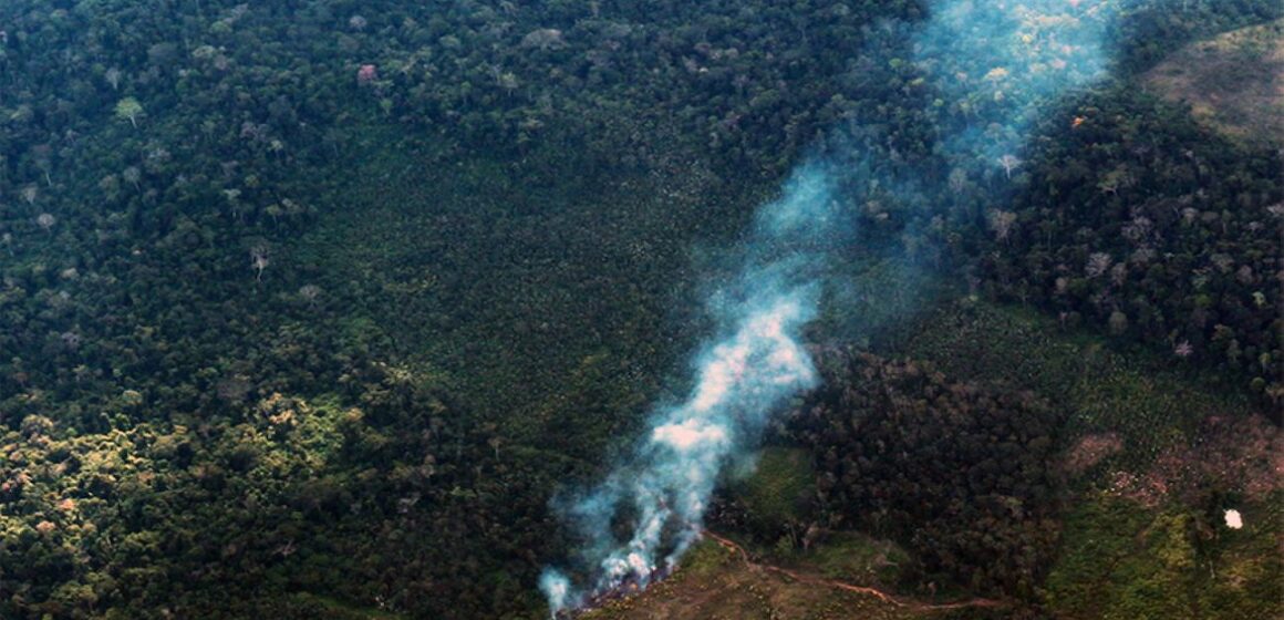 Pará registra redução de quase 50% dos focos de queimadas em todo o estado em outubro