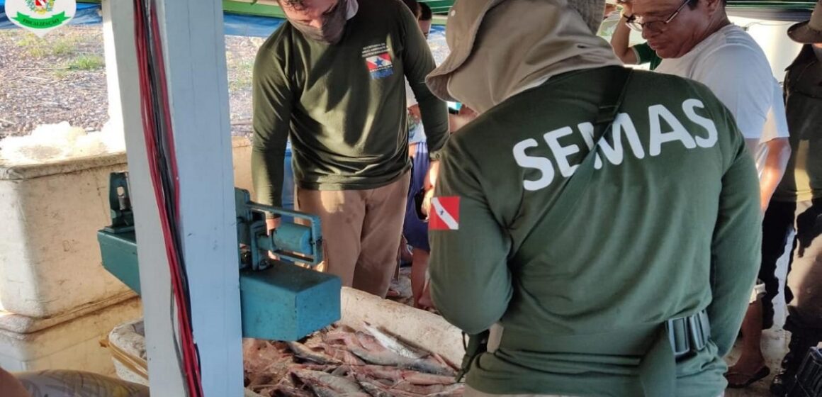 Monte Alegre: mais de 6 toneladas de pescado são apreendidas em fiscalização ambiental no período de defeso
