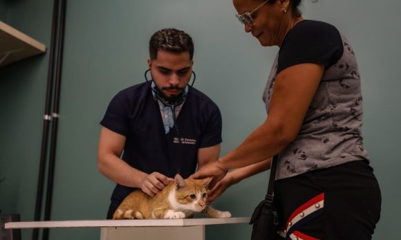 ‘ParáPet’ continua procedimentos para castração de cães e gatos em três UsiPaz