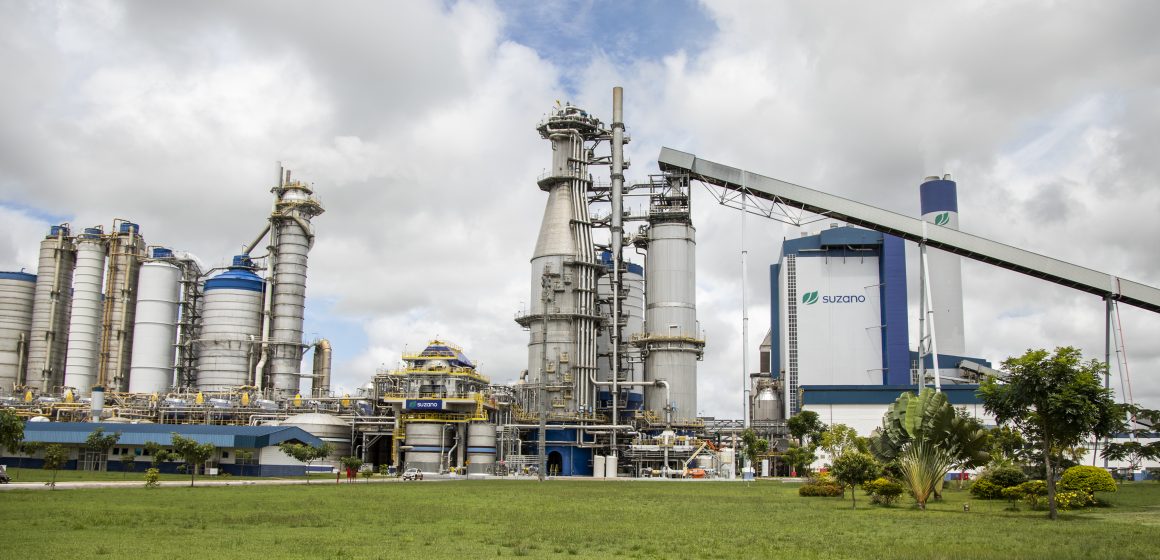 8A16054D-43F9-4667-8020-057359E0CE5E Suzano é novamente reconhecida uma das empresas de melhor reputação no Brasil