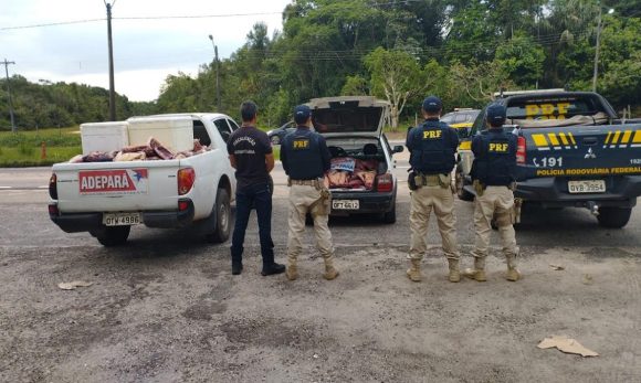 Adepará apreende mais de uma tonelada de carne clandestina em ação conjunta com a PRF