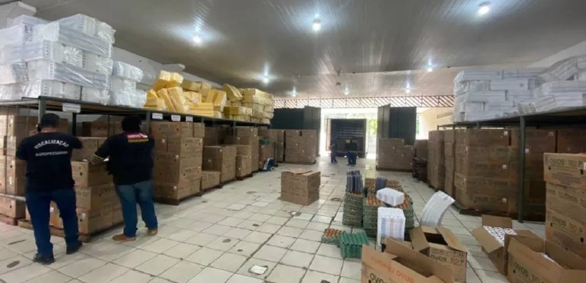 Em Belém, mais de 270 mil ovos são apreendidos em linha de produção clandestina