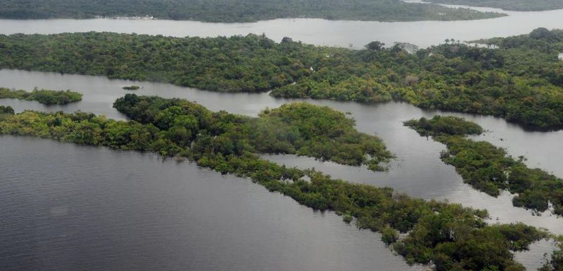 Brasileiro tem sentimento de vulnerabilidade ecológica e climática