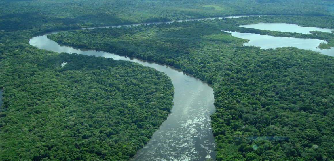 No Pará, R$ 9 milhões são aplicados em multas pela Semas por crimes ambientais contra as florestas