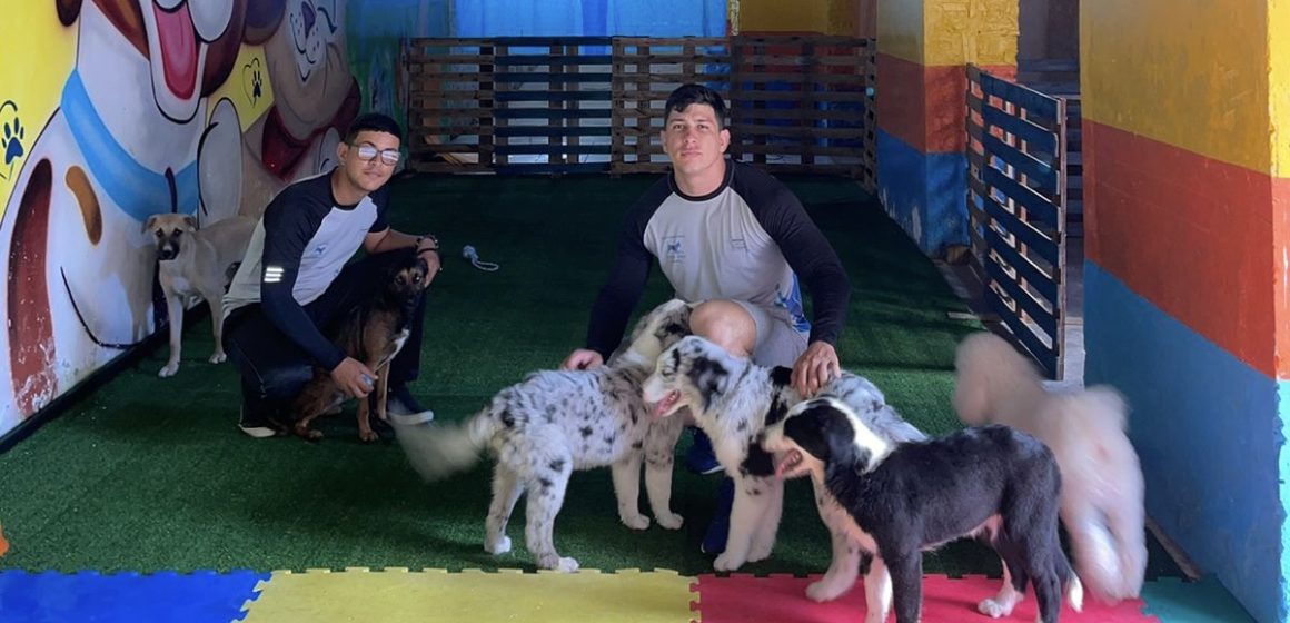 Crazy Creche oferece espaço recreativo para os animais