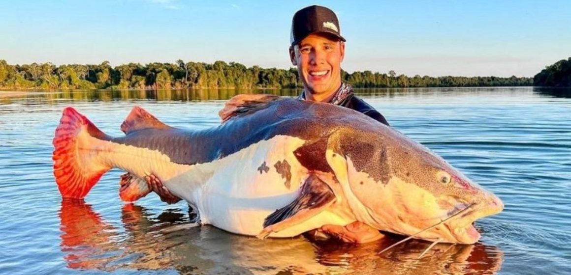 No Xingu, brasileiro pesca peixe de 70kg e bate recorde