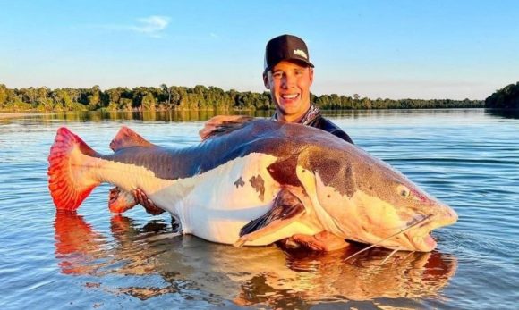 No Xingu, brasileiro pesca peixe de 70kg e bate recorde