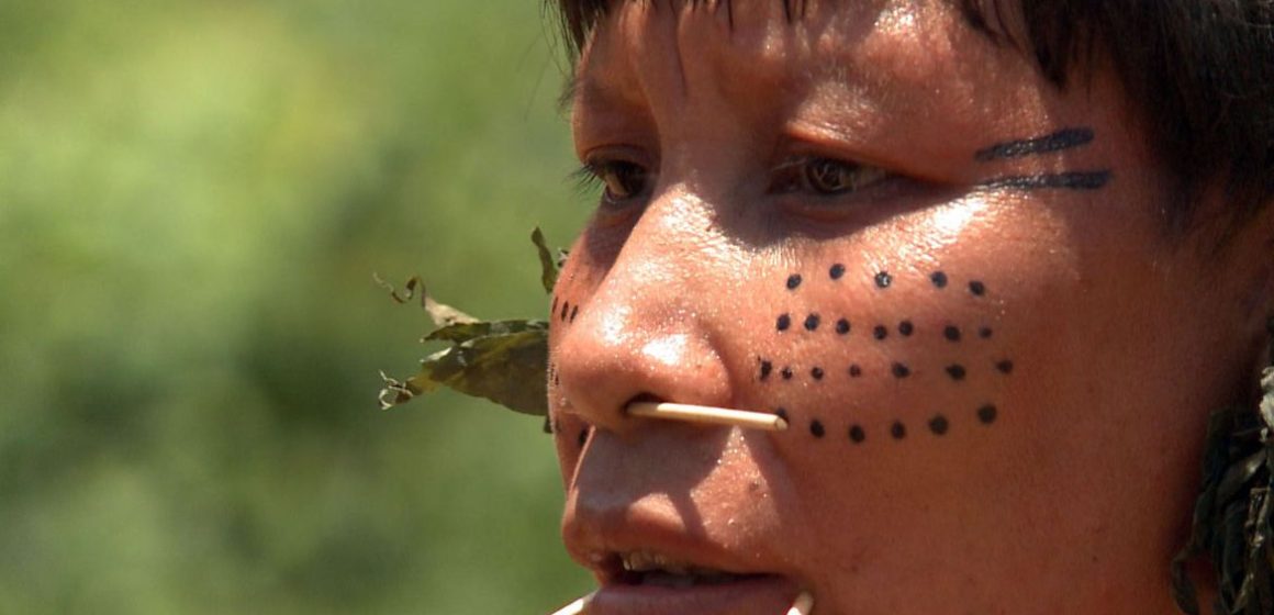 Força-tarefa inutiliza 272 acampamentos de garimpo na Terra Yanomami
