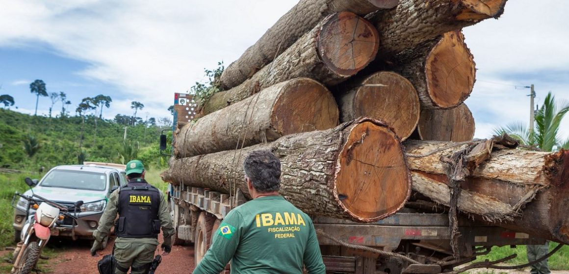 Concurso com salários de até R$ 5.208 é aberto pelo IBAMA no Pará