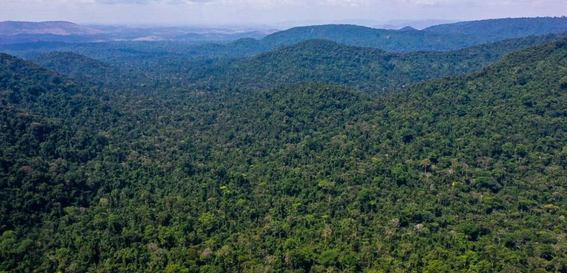 EUA anunciam US$ 500 milhões para Fundo Amazônia em cinco anos