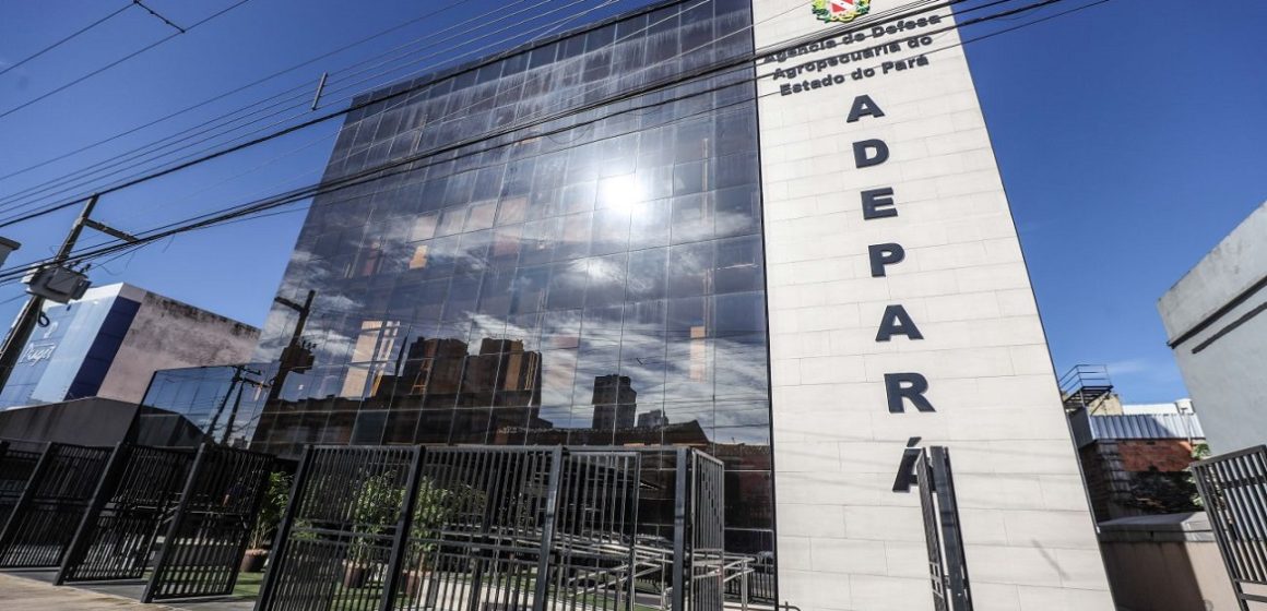 Em Belém, Adepará apreende mais de 3 mil ovos clandestinos em supermercados