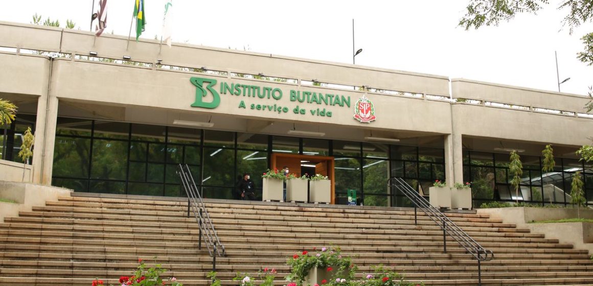Butantan começa a desenvolver vacina contra gripe aviária