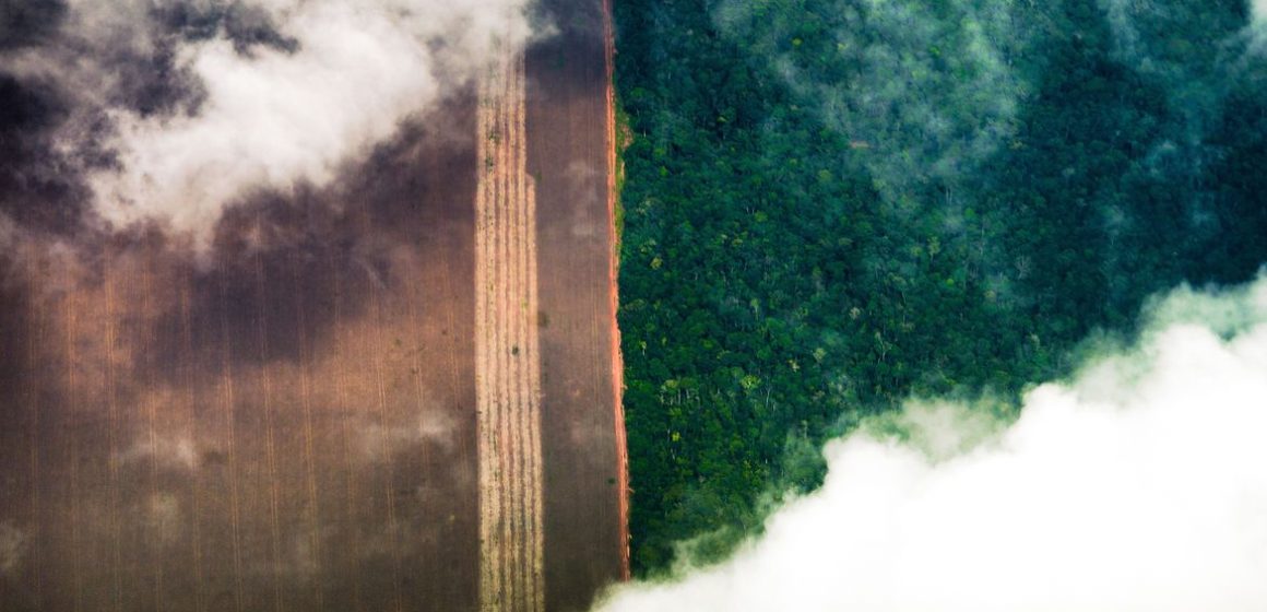 Marina Silva alerta para destruição irreversível da Amazônia