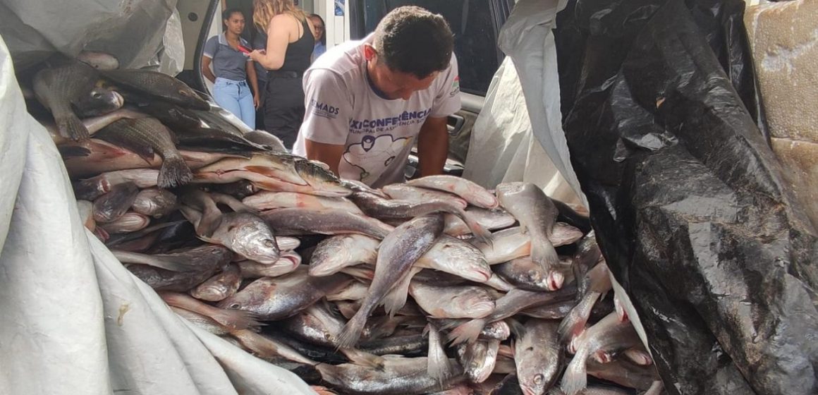Fim do período de defeso no Pará é comemorado pelos pescadores