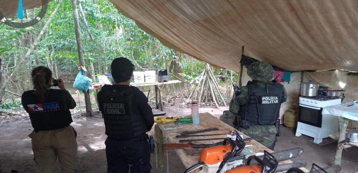 Em Altamira, “Operação Curupira” desarticula ação de desmatamento