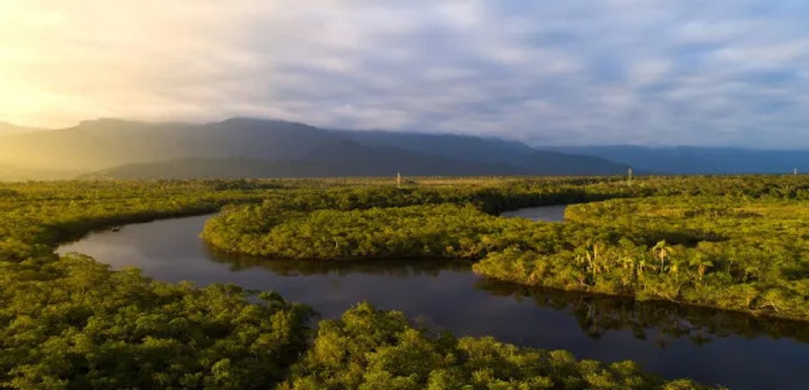 Exploradores farão expedição para provar que rio Amazonas é maior que o Nilo