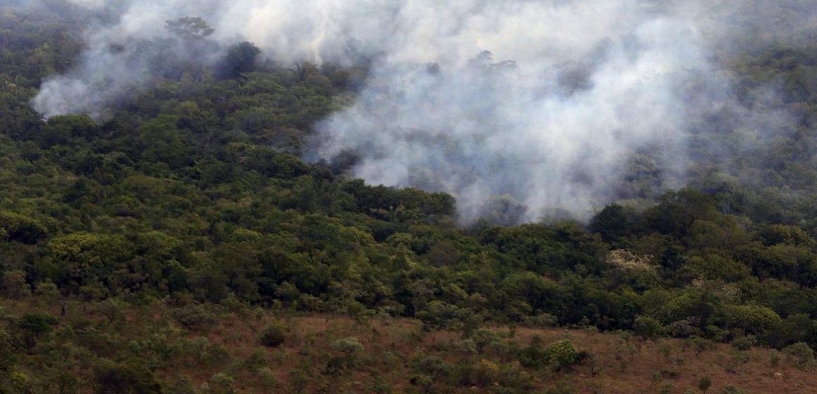 País teve 2,15 milhões de hectares queimados no primeiro semestre