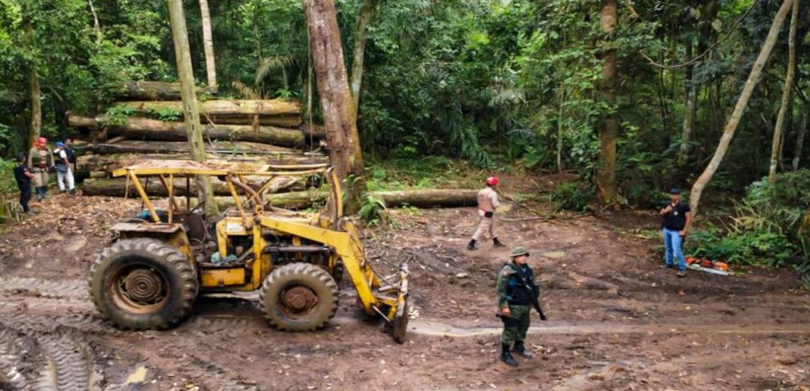 Mais de 300 ações integradas foram realizadas pela Operação Curupira no Pará
