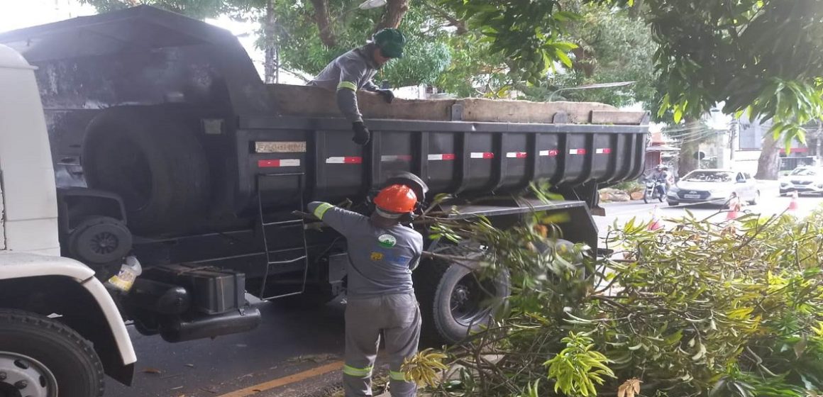 Em Belém, continua a retirada de árvores caídas por causa do temporal no dia 19