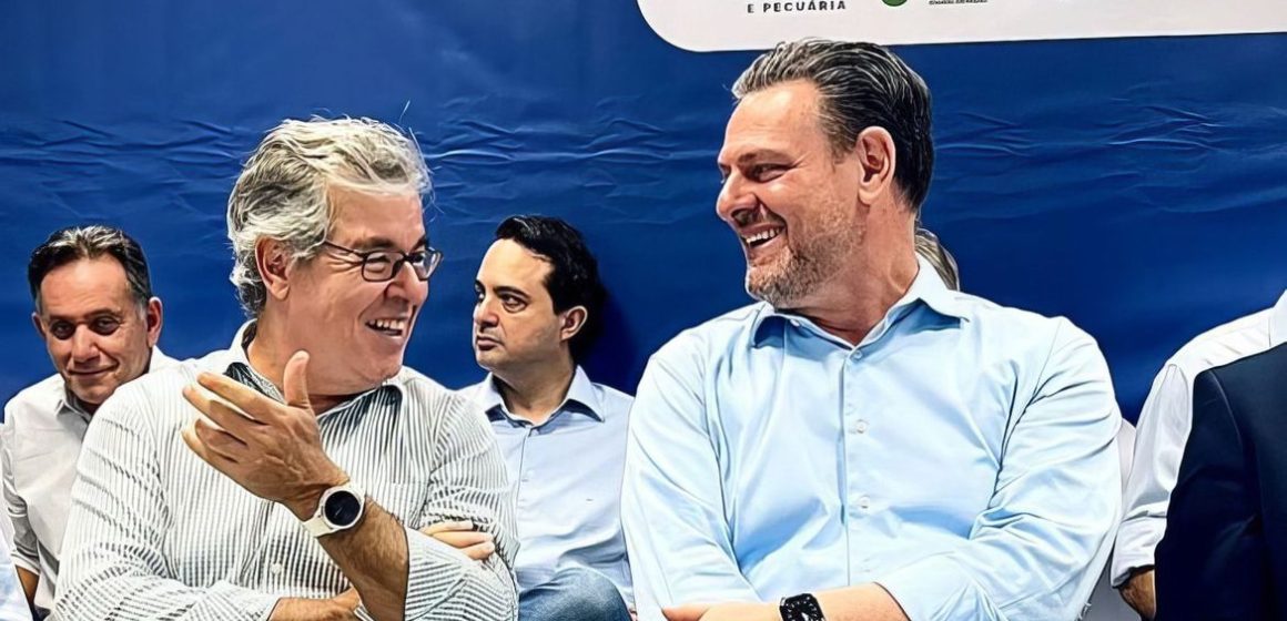 ApexBrasil lança projeto para promover exportações de farelo de milho
