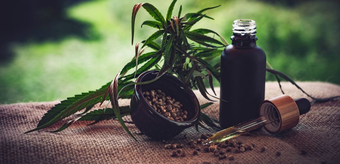 STJ autoriza três pacientes a cultivarem cannabis para fins medicinais