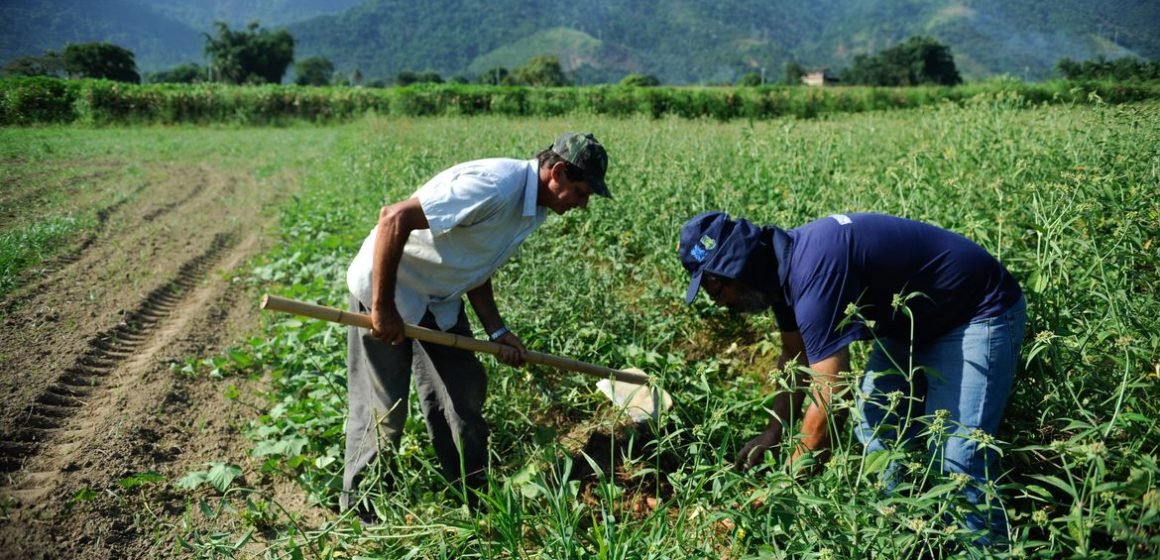 CMN flexibiliza crédito a agricultores de áreas com riscos climáticos