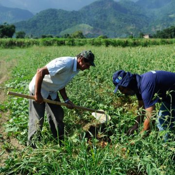 CMN flexibiliza crédito a agricultores de áreas com riscos climáticos