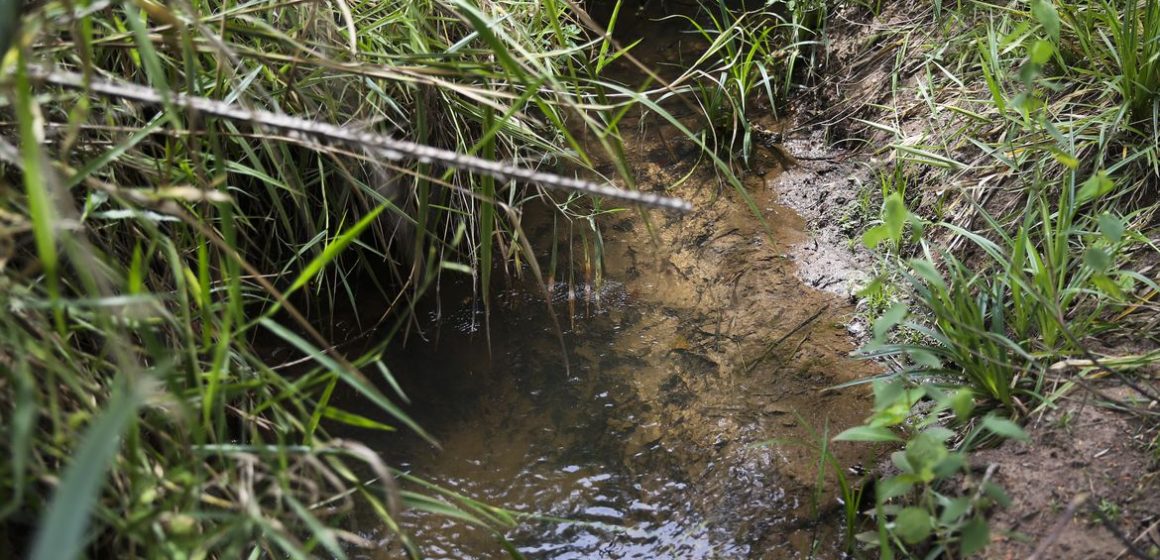 Lei inclui recuperação de nascentes na legislação ambiental