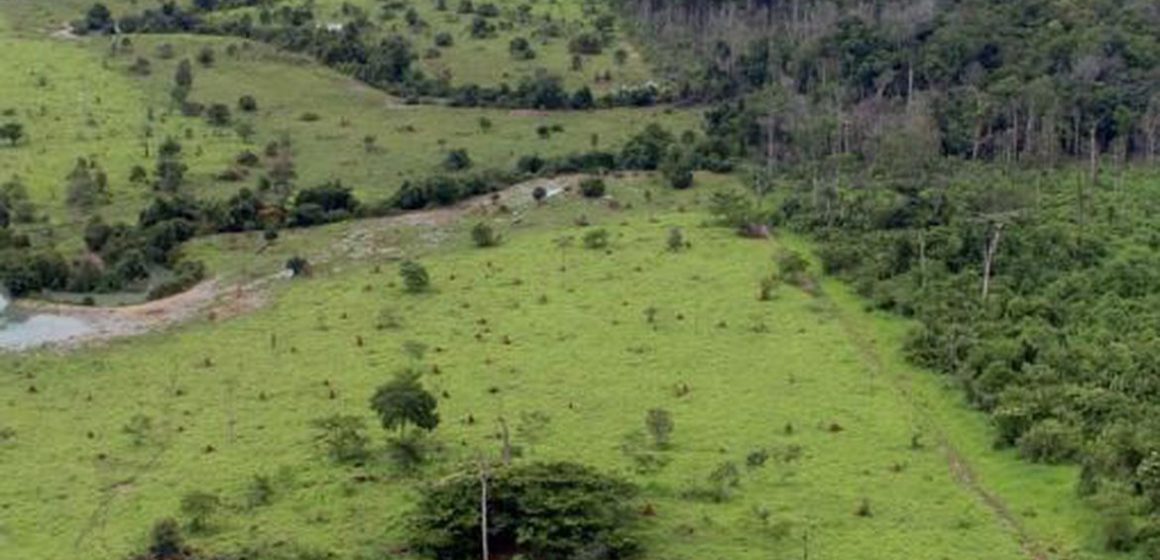 Aberto o prazo para entrega da Declaração do Imposto Territorial Rural