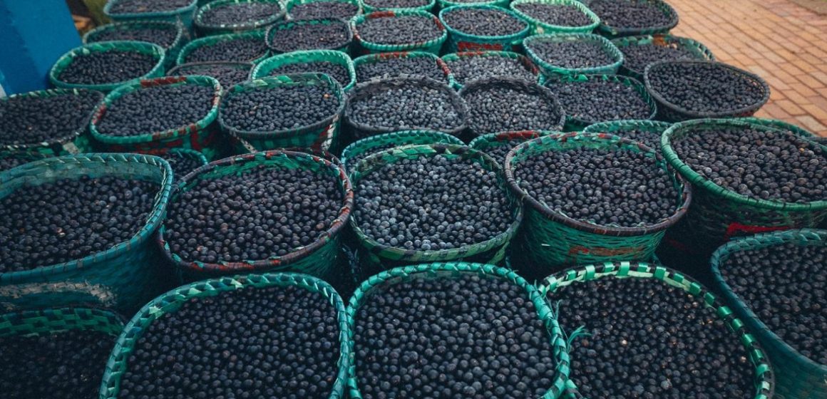 Açaí vira café da manhã na Europa