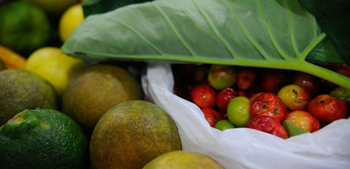 960400-20052015-_tng1915 Conferência Nacional de Segurança Alimentar será em dezembro