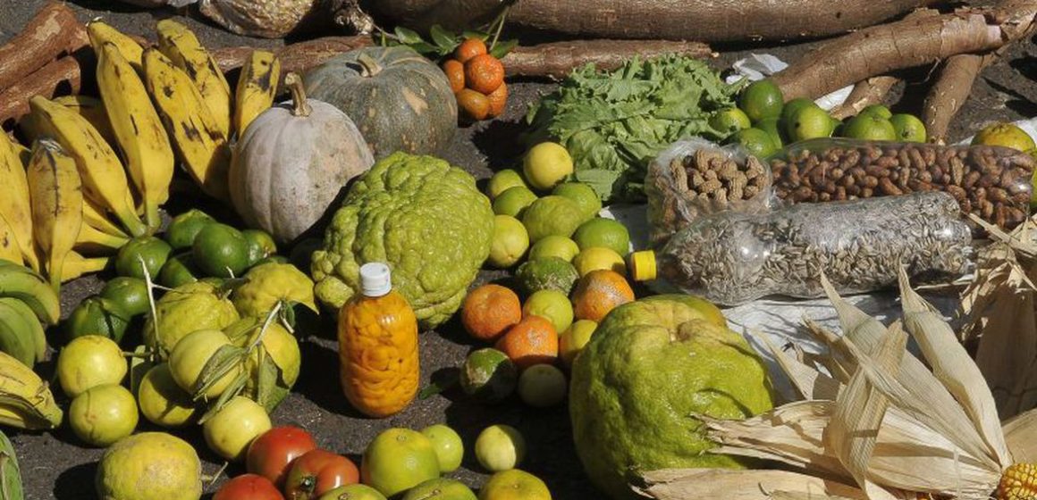 Programa estimulará produção sustentável de alimentos em áreas urbanas