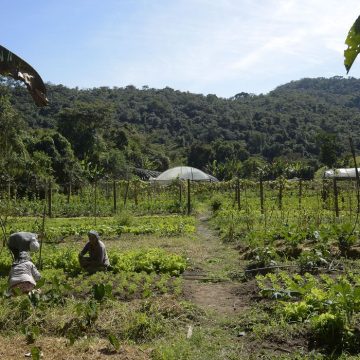 Lei institui política de empreendedorismo para jovens no campo