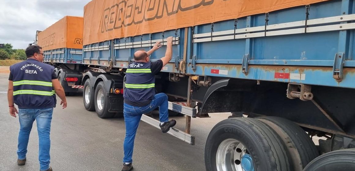 Em Dom Eliseu, mais de 147 toneladas de gergelim são apreendidas