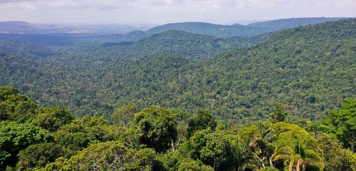 Amazônia é um dos focos da ONU para a Agenda 2030