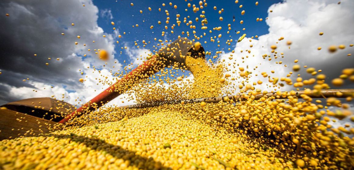 Safra agrícola deverá superar 318 milhões de toneladas neste ano