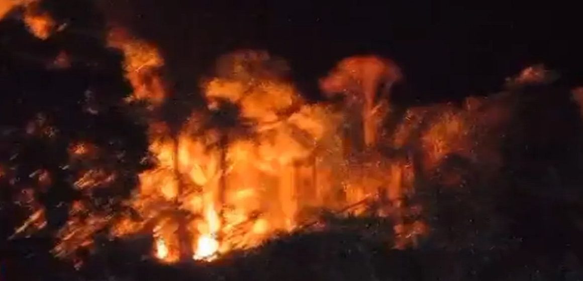 Portel tem incêndios em áreas de mata