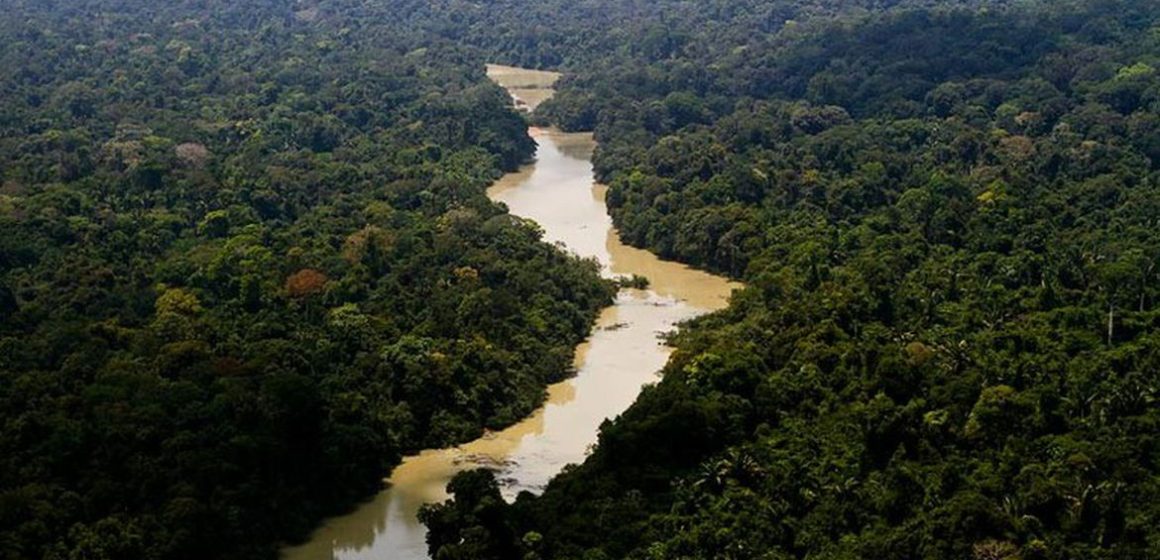 ONU alerta que a terra se aproxima de pontos de inflexão de risco para vida humana