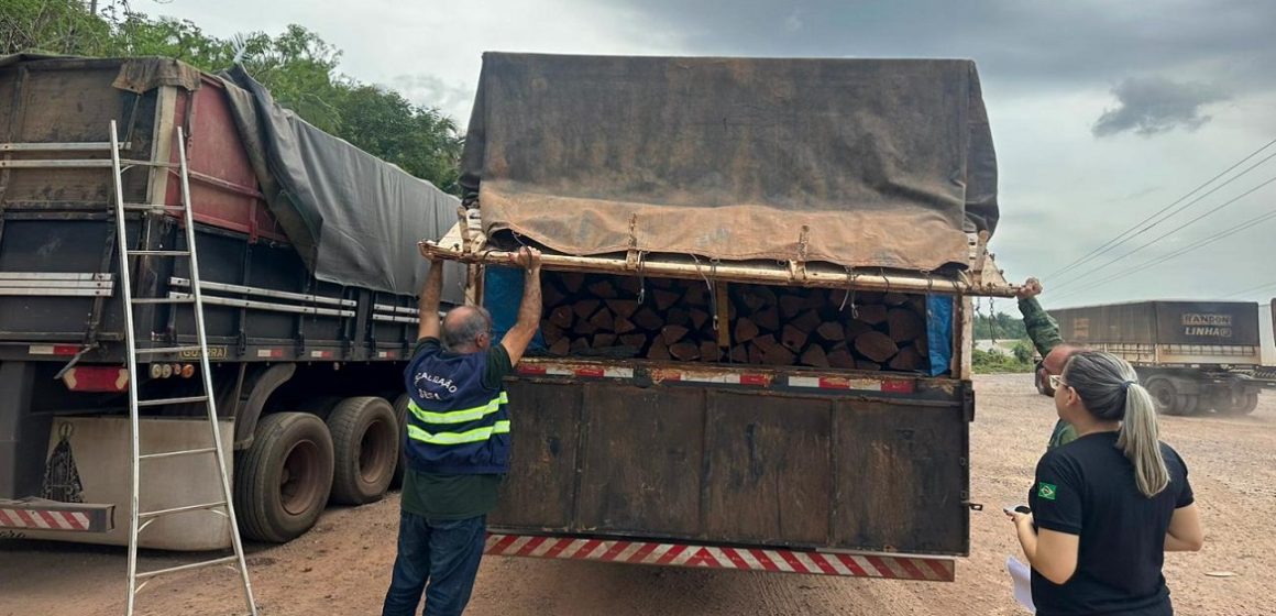 Em São João do Araguaia, Sefa apreende estacas e mourões de acapu