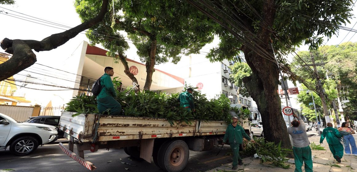 Belém registra mais de 50% na redução de queda de árvores