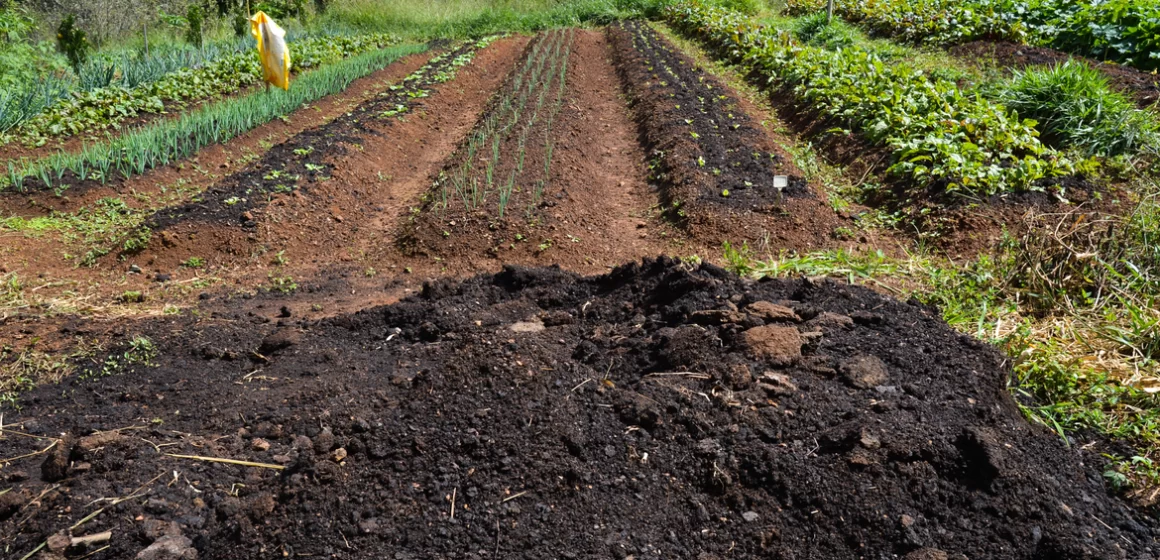 Efeitos negativos de produção de alimentos é quase 10% do PIB global