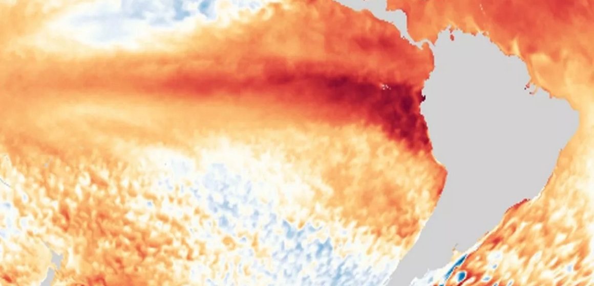 ONU diz que o El Niño deve durar até abril de 2024