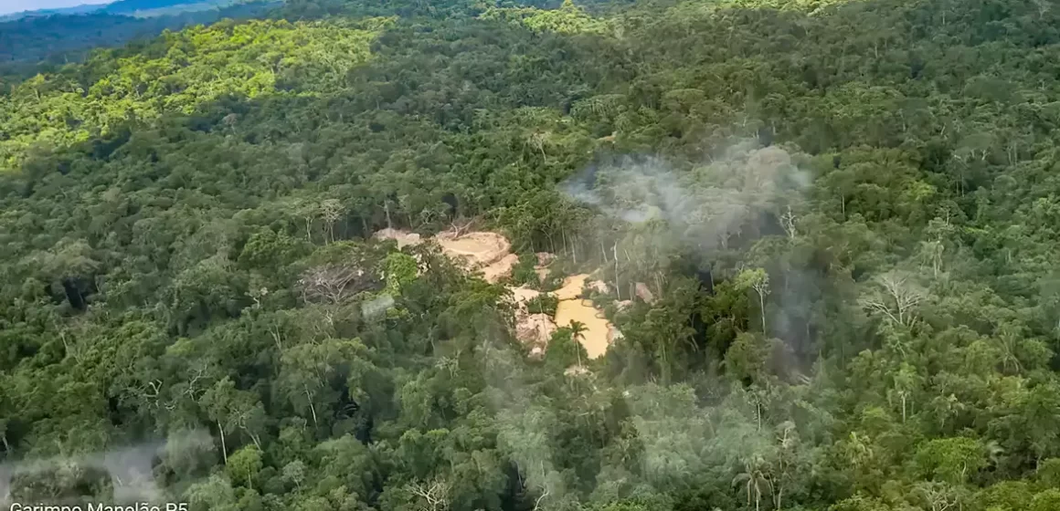 Reduz em mais de 50% o desmatamento em 2023 em terras indígenas