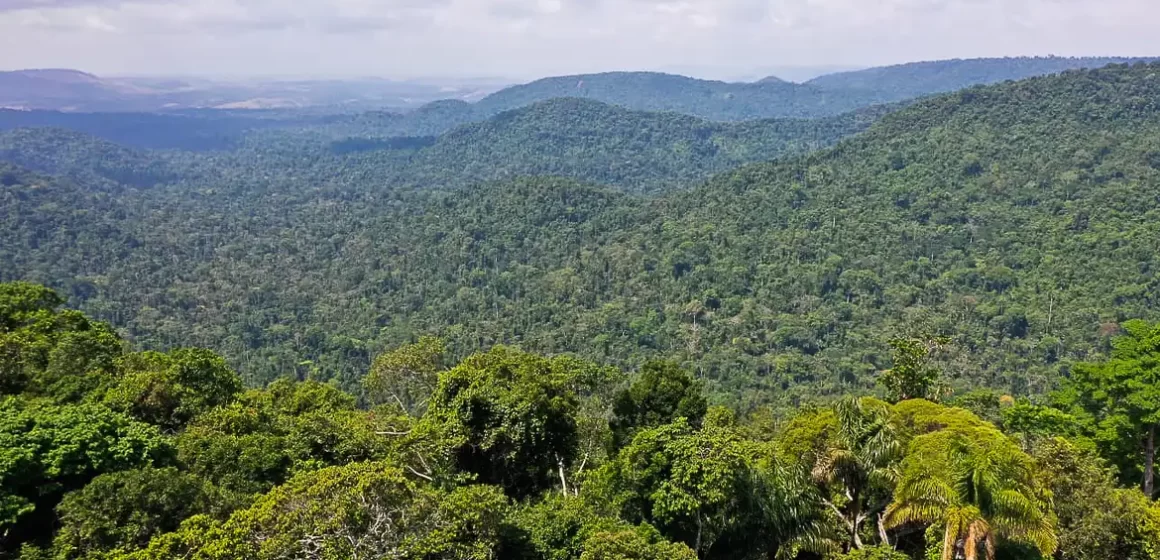 Amazônia Legal tem atuação de 22 facções criminosas nacionais e estrangeiras