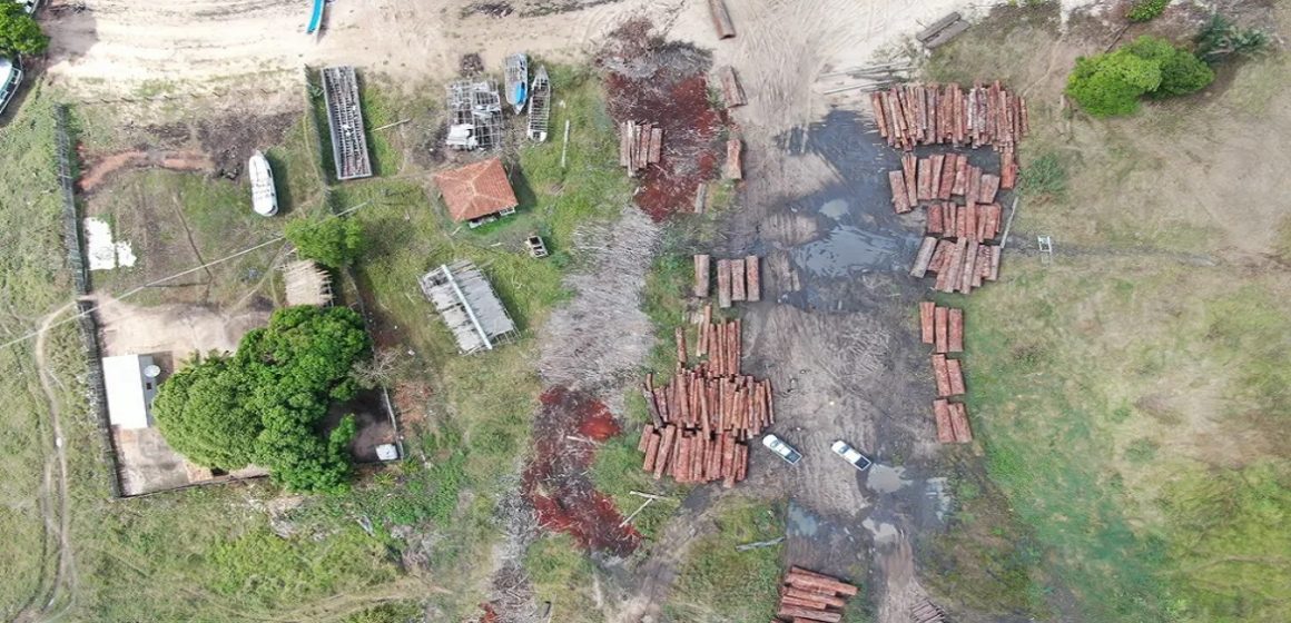 Balsas com madeira ilegal são flagradas em operação no Pará