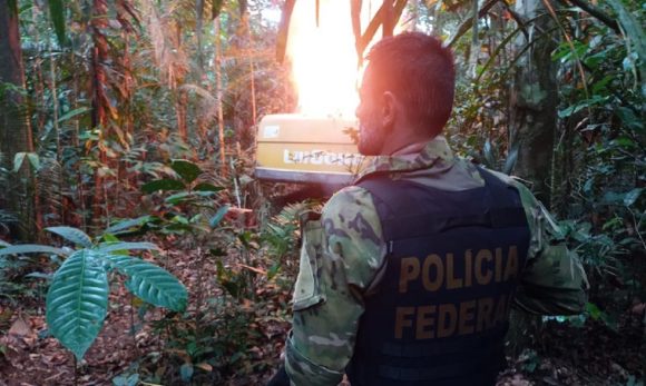 No Pará, Polícia Federal e ICMBio combatem garimpo ilegal de ouro em área de proteção ambiental
