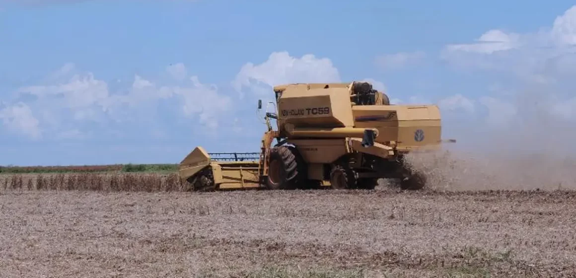 Agronegócio no Brasil bate recorde em volume e valor em 2023
