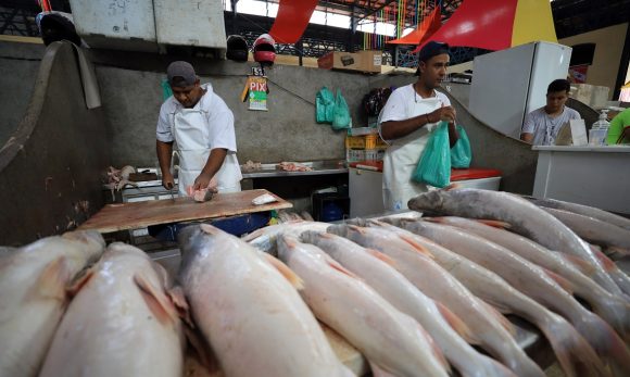 Após sete meses consecutivos de queda, preço do pescado em Belém apresenta variação